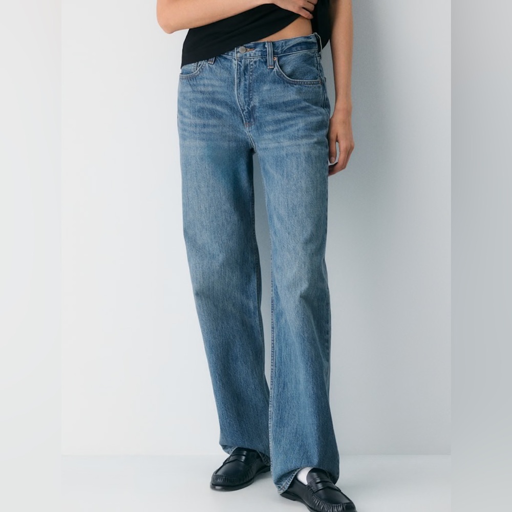 Aritzia Denim Forum The '90s Iggy Lo-Rise Baggy Jean